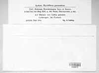 Image Associated With the Occurence